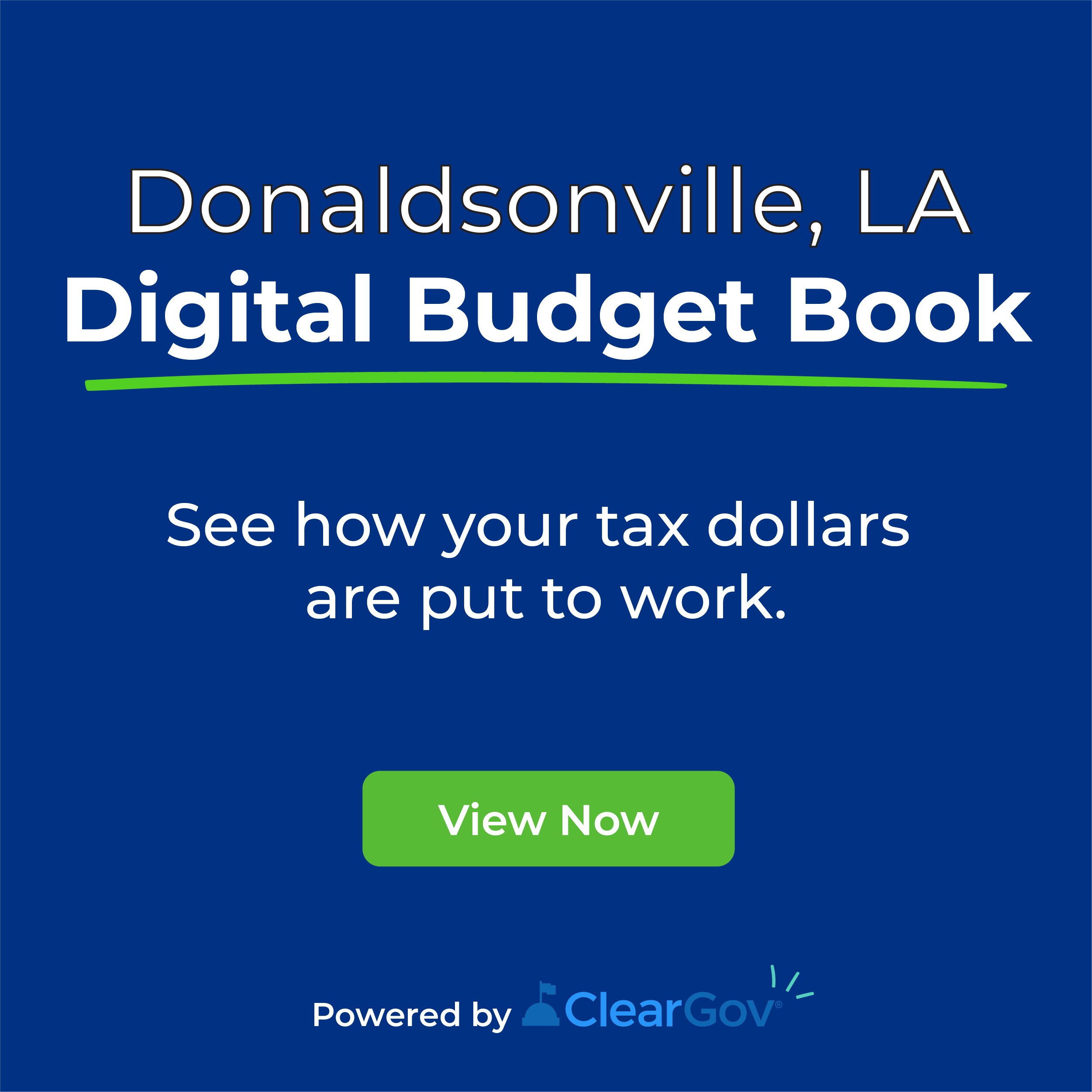 Link to Donaldsonville Blue Book and Budget